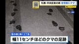 【ヒグマ情報】「家の敷地にヒグマがいる」雪の上の点々と続く足跡 札幌・宮の森の住宅街にヒグマ出没 小さめの成獣か | 北海道のニュース|HBC北海道放送