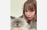 【 中川翔子さんブランド・〈mmts〉 】　動物保護団体へ寄付　「猫や犬を保護するため」「今後も継続してまいります」|TBS NEWS DIG