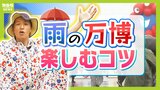 【雨の万博】ストレス少なく過ごすにはどうすれば?必需品は「敷き物&温かい飲み物」 天候に左右されない「コモンズ館」もオススメ|TBS NEWS DIG