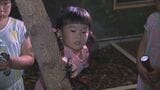 「かぶとむしふれあい館」プレオープン 子どもたちが“夜の生態”を観察 大分|TBS NEWS DIG
