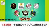 プロ野球春季キャンプがスタート 巨人・ソフトバンク・オリックス・広島・西武 各監督のキャンプへの意気込みは? | MRTニュース | MRT宮崎放送