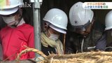 長門・小学生がかやぶき屋根のふき替え体験|TBS NEWS DIG