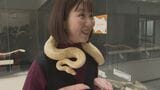 金運UPに?触れ合い体験も ヘビにちなんだ展示を開催中 山口県徳山動物園|TBS NEWS DIG