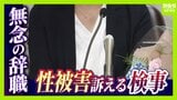 「検察に自浄作用はない」元トップからの性被害訴える女性検事が涙の辞職「言葉にできないほど悔しい」　なぜ被害者が守られなかったのか…“組織の隠ぺい体質”究明へ闘い続ける覚悟　|　MBSニュース | 関西の最新ニュースを分かりやすく。