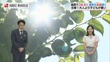 危険な暑さが長丁場に…熱中症で13人が搬送「子どもはより暑さを感じる」平地気象予報士解説【長崎】 | 長崎のニュース | 天気 | NBC長崎放送