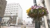 「福島に来てよかったと感じてもらえれば」ふくしまDC開幕前に福島駅前に花設置|TBS NEWS DIG