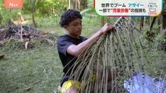 日本でも人気の「アサイー」 世界的ブームで需要急増も収穫の現場で“児童労働”の指摘【SDGs】| TBS CROSS DIG with Bloomberg