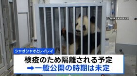 双子パンダ「シャオシャオ」「レイレイ」 中国に到着　検疫のため隔離へ　一般公開の時期は未定|TBS NEWS DIG