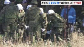 わなに掛かったクマを地元猟友会が駆除 秋田・鹿角市での自衛隊後方支援2日目 運び出しをサポート|TBS NEWS DIG