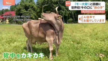 背中をカキカキ…世界初！道具を使う牛が「モ～大変！」と話題に ブラシ