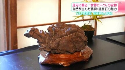 足元に眠る“世界に一つ”の宝物 自然が産んだ芸術・鑑賞石の魅力 高知は