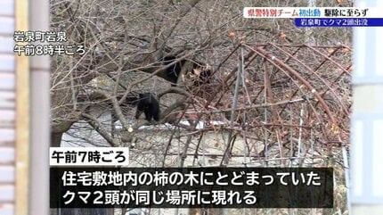 岩泉町の住宅敷地内に2日続けてクマ出没 岩手県警のクマ特別チーム初