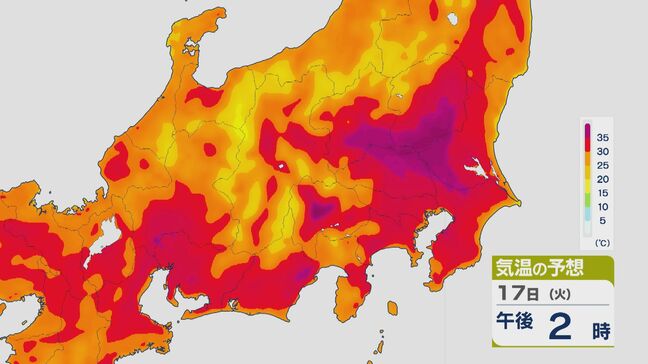 17日(火)朝の時点で東京は30度超えの“真夏日” 梅雨明けを思わせるような「夏空」が広がり気温は上昇 関東の内陸部を中心に35度以上の“猛暑日”に 熱中症に警戒を 気温の移り変わりシミュレーション|TBS NEWS DIG