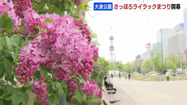 初夏の訪れ告げる「ライラックまつり」14日開幕　7丁目会場には200種超のワインが集結　札幌市・大通公園　|TBS NEWS DIG