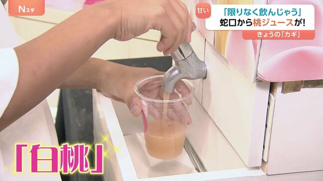 “夢の蛇口”が登場「限りなく飲んじゃいそう」 東京・新橋にある岡山県のアンテナショップで“白桃フェア”開催中|TBS NEWS DIG