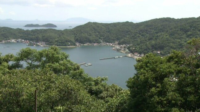 津波注意報が解除 運航を見合わせていたフェリーも運航再開 愛媛|TBS NEWS DIG