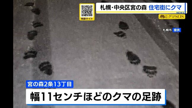 【ヒグマ情報】「家の敷地にヒグマがいる」雪の上の点々と続く足跡　札幌・宮の森の住宅街にヒグマ出没　小さめの成獣か|TBS NEWS DIG