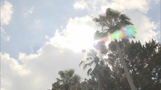 福岡県と佐賀県に「熱中症警戒アラート」太宰府市で35.2℃を観測　エアコンの使用・こまめな休憩・水分補給を|TBS NEWS DIG