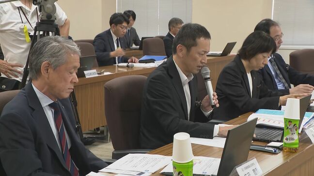 妊婦からは安心して出産できる体制求め切実な声も 奥能登新病院 検討会の分科会で産科医療のあり方を意見交換|TBS NEWS DIG