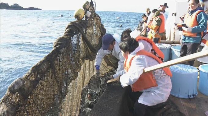 “海なし県”の子どもたちが“海あり県”で定置網漁を初体験「初めて船に乗る」「新鮮な刺身も食べられた」　|　名古屋・愛知・岐阜・三重のニュース【CBC news】 | CBC web