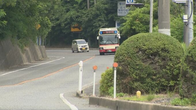 鳥取砂丘近くで道路を横切るクマの姿…市職員が体長約70センチのツキノワグマを目撃…4月以降、目撃情報は去年の3倍|TBS NEWS DIG