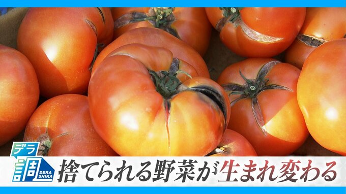 野菜高騰のウラで急増する“規格外” 捨てられる野菜で新商品「味をより強く」　|　名古屋・愛知・岐阜・三重のニュース【CBC news】 | CBC web