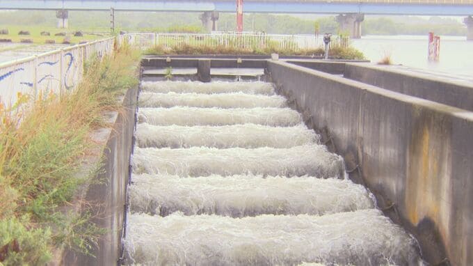 ８月末までの取水制限は「初」久しぶりの恵みの雨も水不足解消は…「水がいるところをみながらの判断になる」鳥取県・日野川|TBS NEWS DIG