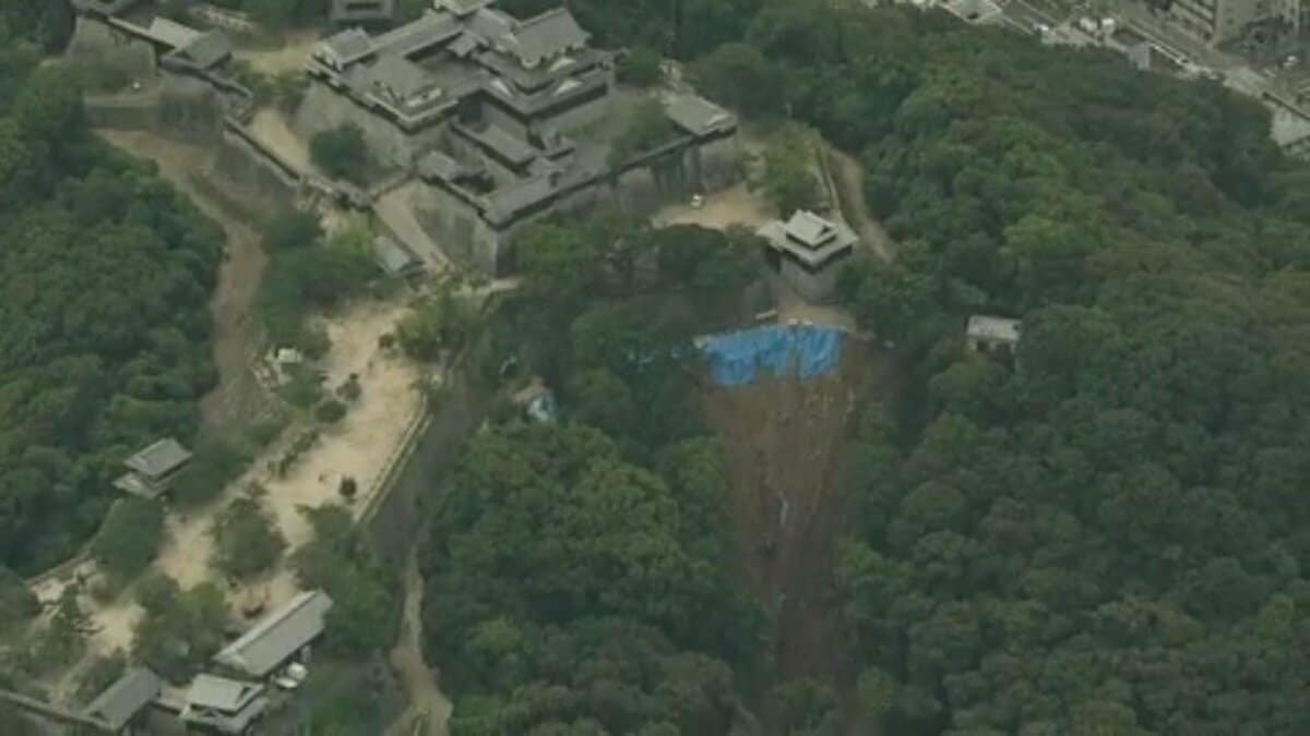 松山市長らを刑事告発 「危険を認識するも対策取らず」 3人死亡の松山