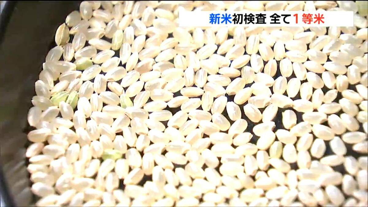 1等米(検査証明書発行済)埼玉県産新米玄米、彩のきずな　網目1.80良品　　[emi☆様専門ページ]　 1等米(検査証明書発行済)埼玉県産新米玄米、彩のきずな網目1.80良品