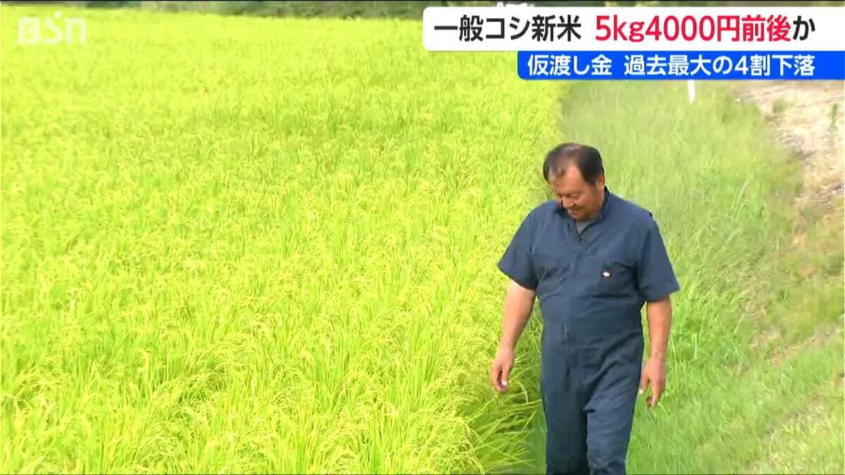 サムネイル_コメの仮渡し金決定 過去最大の4割下落 「農業を辞める人が増える可能性も」 一般コシヒカリ新米 5kg 4000前後か 新潟