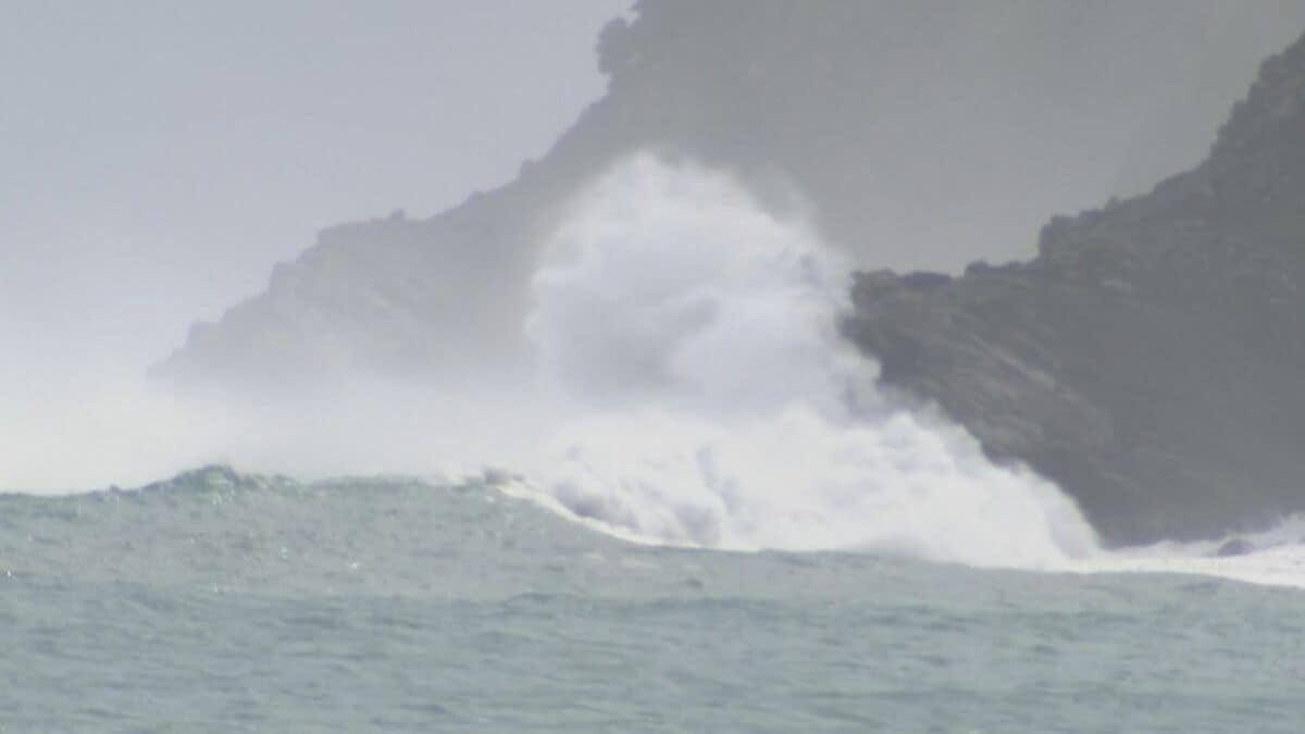 台風13号…大分県内の一部が強風域に 南部と中部沿岸に波浪警報 フェリー欠航など交通にも影響