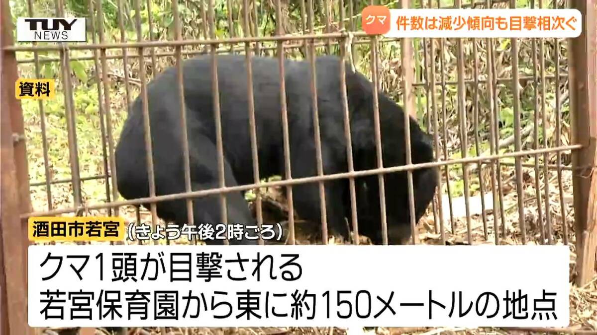 異常なペースでのクマ目撃11月だけで目撃情報は400件超 県内でクマ
