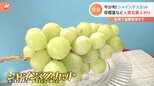 シャインマスカットが激アツ！！色鮮やかなタルトに1粒まるまる入った大福まで！今が旬！|TBS NEWS DIG
