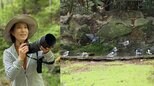 【 磯野貴理子 】公園で遭遇した野鳥たちの“水浴びラッシュ”に感激「羽を整えて元気に飛ぶため、水浴びは、とても大切！」|TBS NEWS DIG