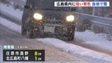 「こたつから出られないくらい寒かった」 広島県内に強い寒気 各地で雪 雪のピークは過ぎるも寒さは続く見込み|TBS NEWS DIG
