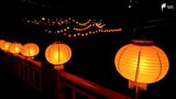 熱川に九份が灯る　約800個の台湾提灯が温泉街を幻想的な雰囲気に　大地震被害の「一日も早い復旧と復興を」=静岡・東伊豆　|　静岡のニュース | SBSNEWS | 静岡放送