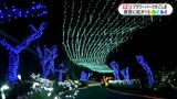 七色にきらめく光の庭園　指宿・フラワーパークのイルミネーション　鹿児島|TBS NEWS DIG