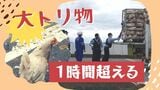 ニワトリ３０羽が畑で逃げ回る　トラックから積み荷の「ニワトリのケージ」落下　|　福岡のニュース｜RKB NEWS｜RKB毎日放送