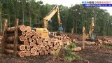 労災事故を減らすため林業現場を視察し、事故防止対策を確認 森林労働災害防止パトロール|TBS NEWS DIG