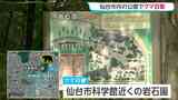 「台原森林公園」体長1mのクマ目撃 散歩・ジョギングで仙台市民利用 近くには保育所や仙台市科学館も | 宮城のニュース│tbc NEWS│tbc東北放送