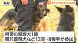 行方不明者の捜索や犯罪捜査などで活躍！ 警察犬の合同訓練　再挑戦し再び警察犬を目指す犬も！（山形）|TBS NEWS DIG