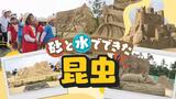 巨大なカブトムシにカマキリ、よく見ると“砂と水”だけでできていた～海外彫刻家や学生がアート展「あしや砂像展」　|　福岡のニュース｜RKB NEWS｜RKB毎日放送