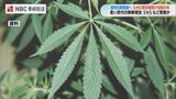 SNSで簡単に購入「若年層への薬物汚染は思っている以上」大麻取り締まりなど連携を強化　九州地区麻薬取締協議会　長崎　|　長崎のニュース | 天気 | NBC長崎放送