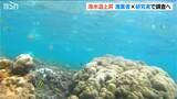 初プロジェクト「日本の海面水温は世界平均より上昇」漁業者と研究者とが連携し本格調査へ|TBS NEWS DIG