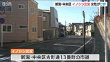 住宅地にイノシシ出没「60年以上住んでいるが初めて」50代女性が軽いけが 新潟・中央区 | 新潟のニュース・天気|BSN NEWS|BSN新潟放送