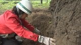 「サクラはきちんとやっている。私たちは助けてあげることしかできないから…」“樹木の病気”と闘い続ける桜守たち “日本一のサクラ”を守り続けるために進める『令和の土壌改良』 サクラ楽しむ文化を後世へ|TBS NEWS DIG