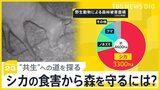 「この森、使いものになりますか?」深刻化するシカの食害 シカから森林を守るためには?共生するためには?【news23】|TBS NEWS DIG