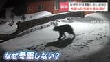“ヒグマは冬眠するはず…”その常識はもはや通用しない?専門家「栄養状態が良いと冬眠せず活動するケースもある」未明の住宅街で雪上を飛び跳ねるように走る姿も | 北海道のニュース|HBC北海道放送