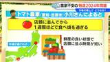「恩恵受けられる人と受けられない人で二極化」物流2024年問題　トラックドライバーの働き方改革始まる|TBS NEWS DIG