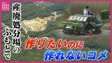 「１年を通じて安全な水があってはじめてコメができる」　再開した産廃処分場のふもとで･･･作りたいのに作れない農家　広島|TBS NEWS DIG